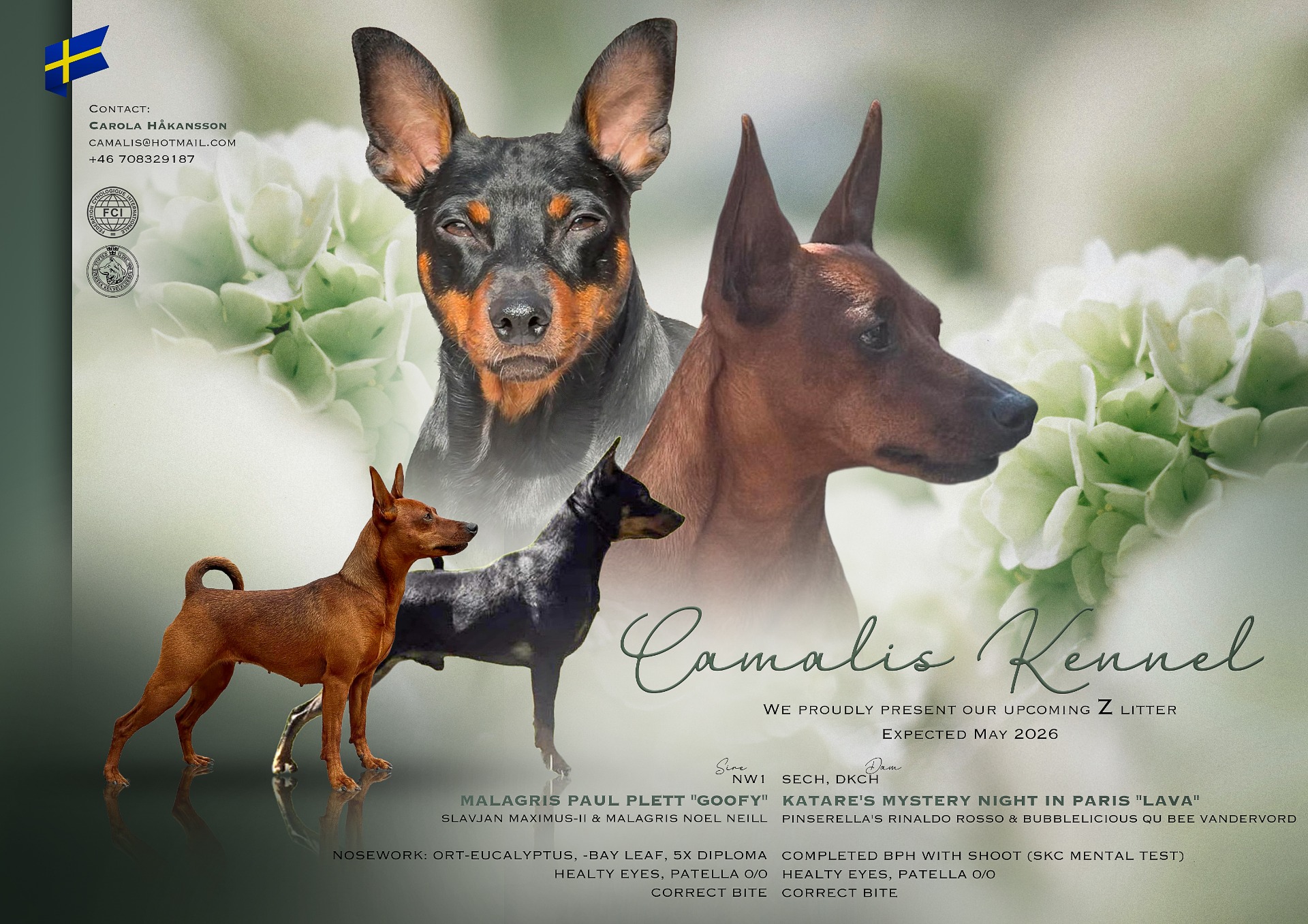 Camalis ZZ-Litter